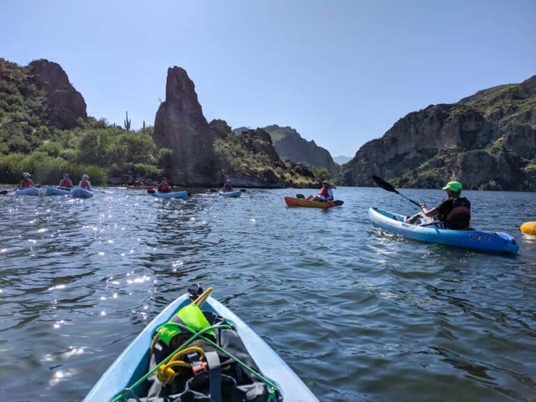 From Mesa: Self-Guided Kayaking Trip on Saguaro Lake - The Experience in Detail