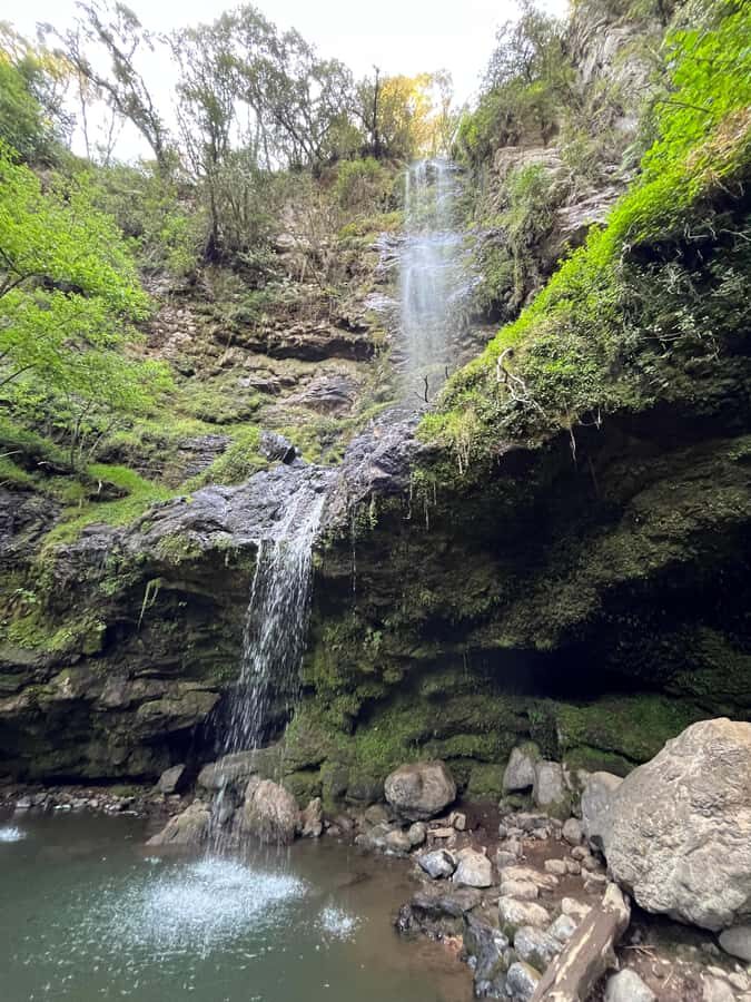 From Mexico City: Tour to 10 waterfalls in Hidalgo - Breaking Down the Itinerary