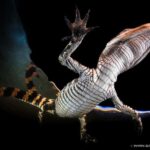 From Miami: Everglades at Night with Guided Airboat Tour - FAQ