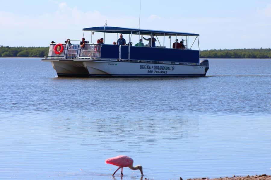 From Miami: Everglades Tour w/90 minute boat trip & 3 Hikes! - Price and Value Analysis