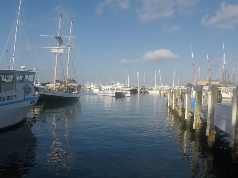 From Miami: Key West Day Trip with Pickup at Selected Hotels - Authentic Experiences and Practical Insights