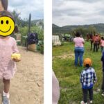 From Monterrey: Visits to the Organic Gardens - Final Thoughts