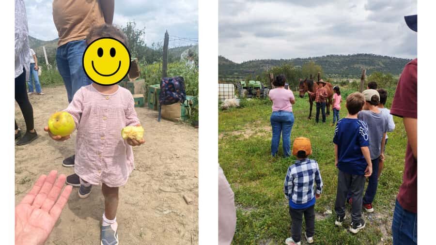 From Monterrey: Visits to the Organic Gardens - Final Thoughts