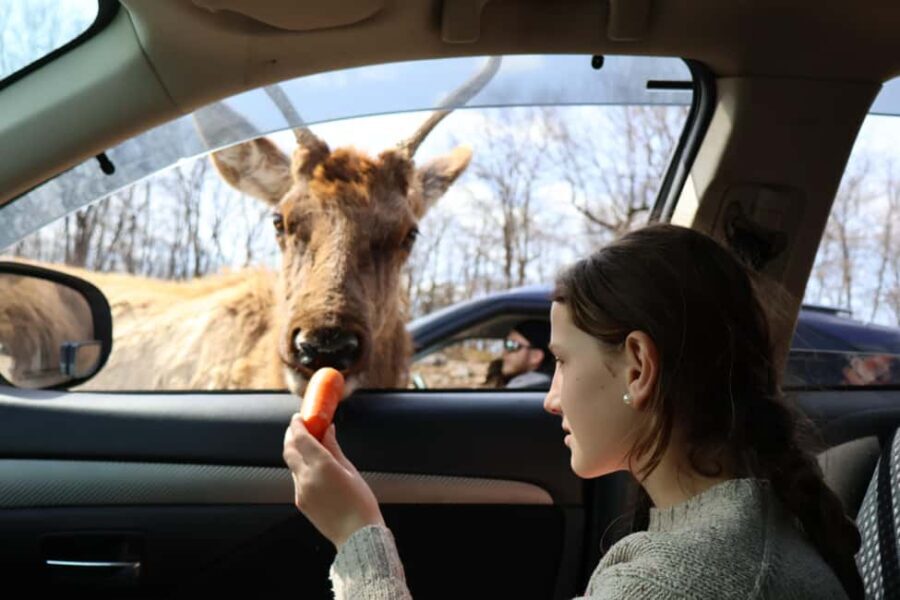 From Montreal: Omega Park Wildlife Safari Calling Sounds - Who Will Enjoy This Safari?