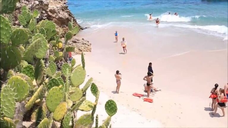 From Nueva Vallarta: Marietas Islands Hidden Beach Tour - Price and Value: What Does It All Cost?