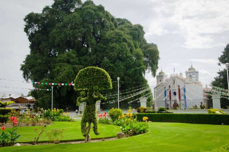From Oaxaca: City, Mitla, and Mezcal Factory Tour - What Makes This Tour Stand Out?