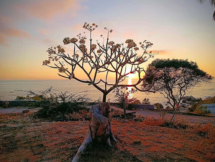 From Oaxaca City: Puerto Escondido Freediving Experience - What’s Included and What to Keep in Mind