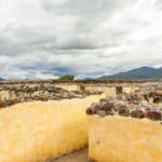 From Oaxaca: Zapotec Legacy Lambityeco, Yagul and Dainzú in a single tour - Itinerary Breakdown: What to Expect