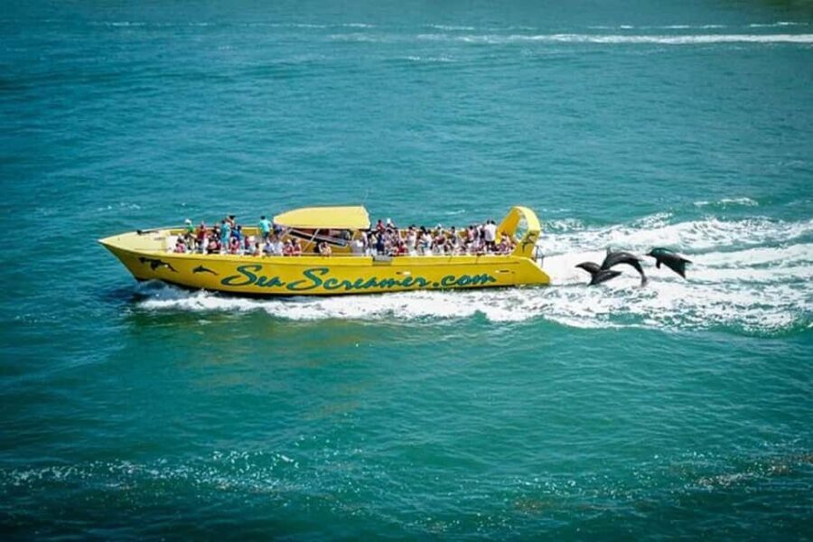 From Orlando: Miami and Key West 8-Day Tour - Transportation and Accommodation