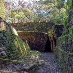 From Palenque: Yaxchilán and Bonampak Tour - Analyzing the Experience