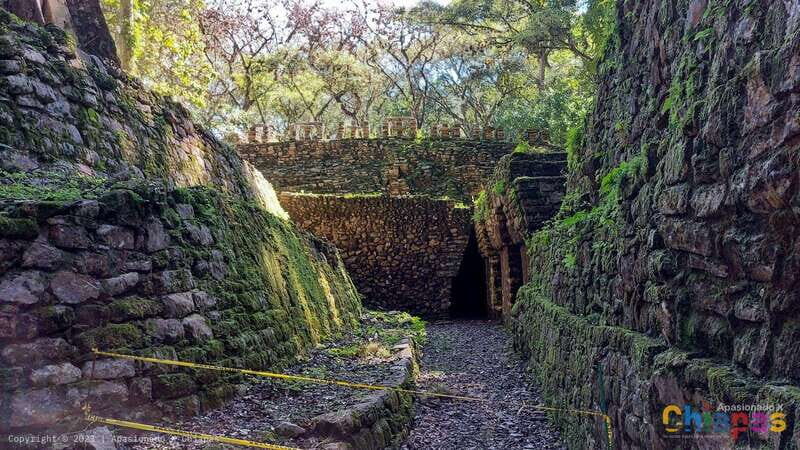 From Palenque: Yaxchilán and Bonampak Tour - Analyzing the Experience