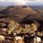 From Phoenix Private Custom Flagstaff Day Tour - Final Thoughts