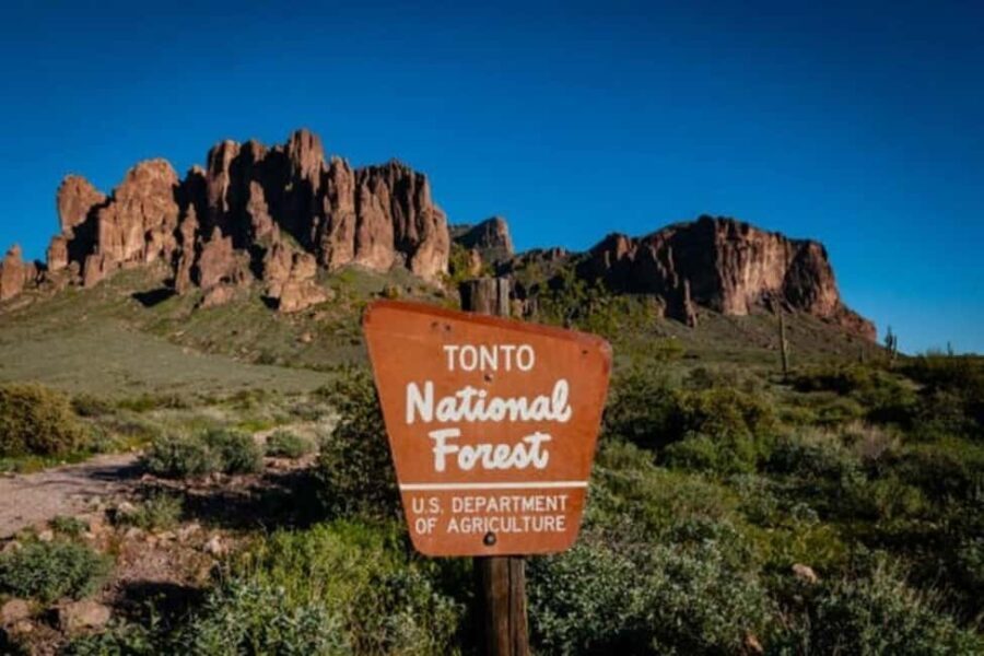 From Phoenix: Private Offroad Sonoran Desert and Sunset Tour - The Offroad Adventure: Rugged Terrain and Scenic Highlights