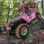 From Pigeon Forge: Roaring Fork 2.5-Hour Jeep Tour - The Authentic Smell of Forest and Mountain Air