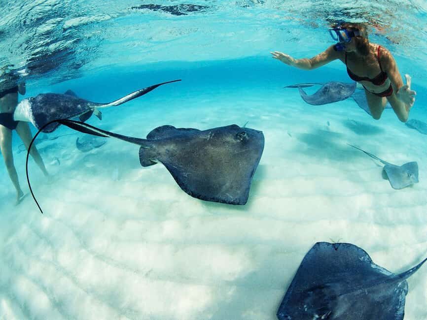 From Playa del Carmen: Xcaret Plus Park, the complete experience - Who Is This Tour Best For?