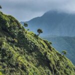 From Princeville: Discover Kauai Helicopter Tour - Experience Overview: What to Expect from Your Kauai Helicopter Tour