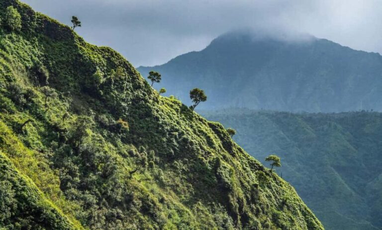 From Princeville: Discover Kauai Helicopter Tour - Experience Overview: What to Expect from Your Kauai Helicopter Tour