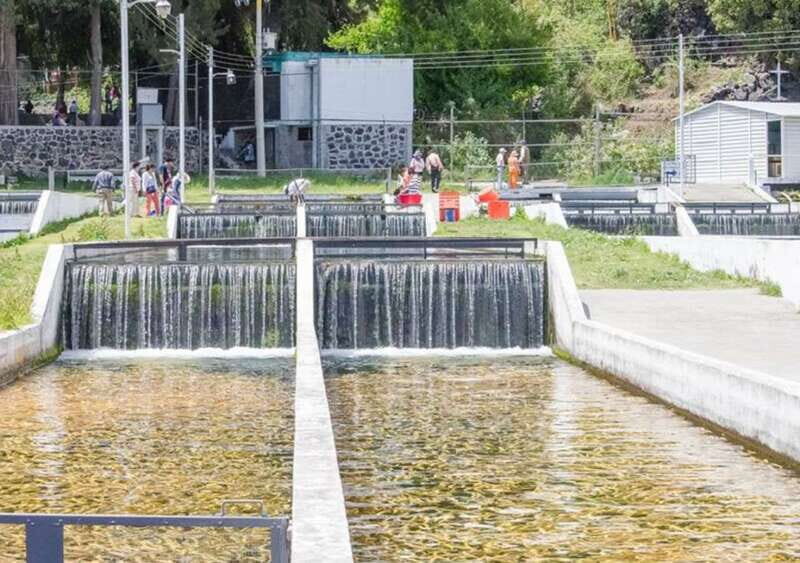 From Puebla: Cholula and Atlixco Private Tour all included - What Makes This Tour Stand Out