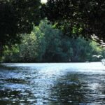 From Puerto Escondido: Day Trip to Chacahua National Park - Deep Dive: The Itinerary Breakdown