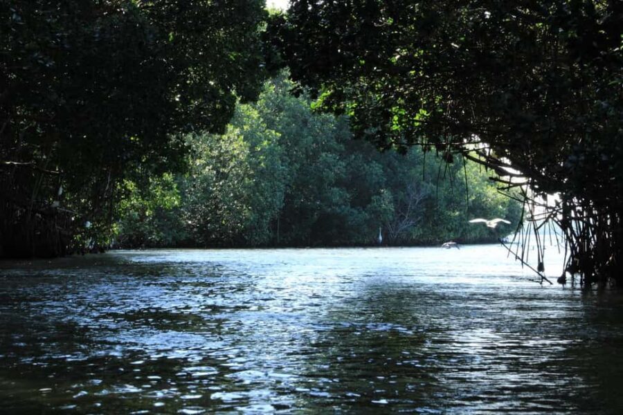 From Puerto Escondido: Day Trip to Chacahua National Park - Deep Dive: The Itinerary Breakdown