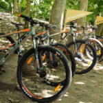 From Puerto Vallarta: Jungle Mountain Bike Tour - Who Will Love This Tour?