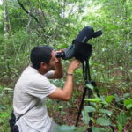 From Riviera Maya : Sian Ka'an Muyil Birdwatching with Guide - Who Will Love This Tour?
