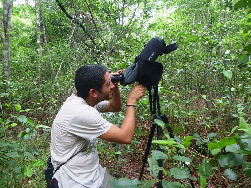 From Riviera Maya : Sian Ka'an Muyil Birdwatching with Guide - Who Will Love This Tour?
