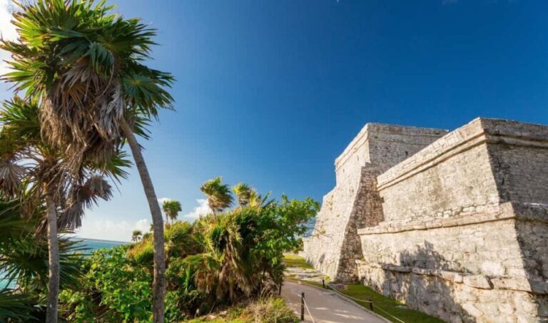 From Riviera Maya: Tulum, Cenote, & Akumal Turtle Swim Trip - What Makes This Tour Stand Out?