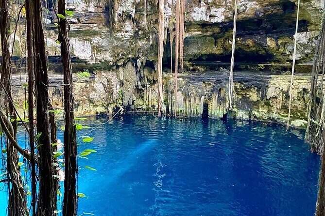 From Ruins to Hidden Cenotes Private Chichen Itza Tour - Pricing Analysis: Is It Worth $339?