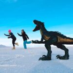 From Salt Lake Private Experience to Bonneville Salt Flats - Who Should Consider This Tour?