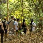 From San Cristóbal: Lacandona Jungle 3 Days Tour - Key Points