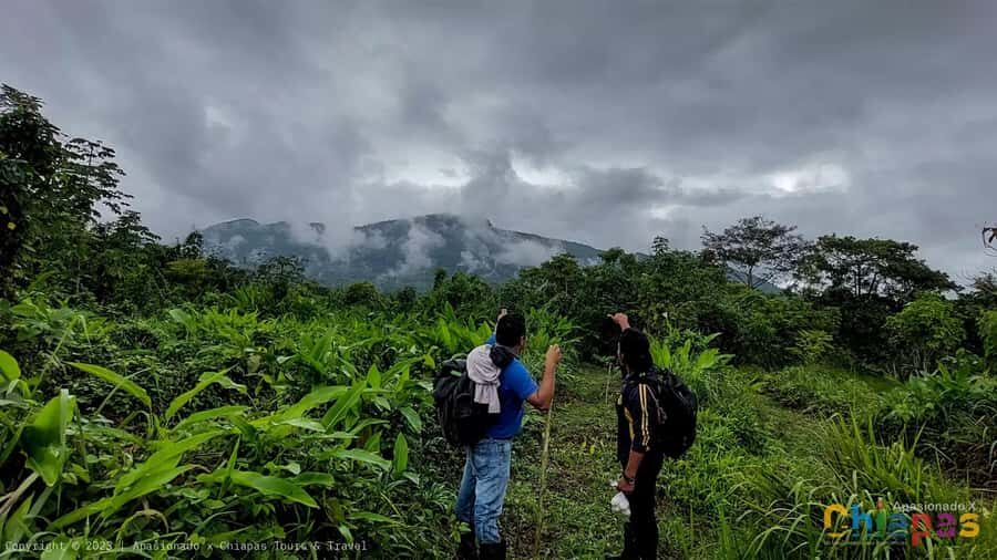 From San Cristóbal: Miramar Lagoon Hidden Paradise - The Experience: Authentic, Safe, and Responsible