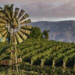 From San Diego Temecula Wine Country Tour - Exploring the Itinerary in Detail
