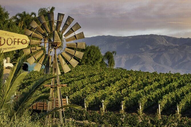 From San Diego Temecula Wine Country Tour - Exploring the Itinerary in Detail