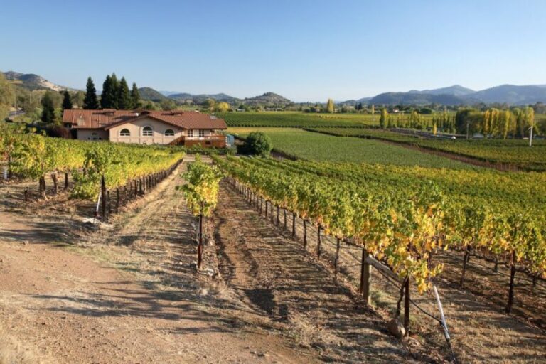 From San Francisco: Napa Valley Private Tour - A Deep Dive into the Napa Valley Private Tour