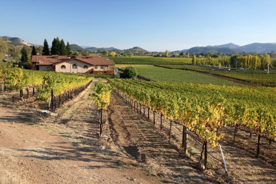 From San Francisco: Napa Valley Private Tour - A Deep Dive into the Napa Valley Private Tour