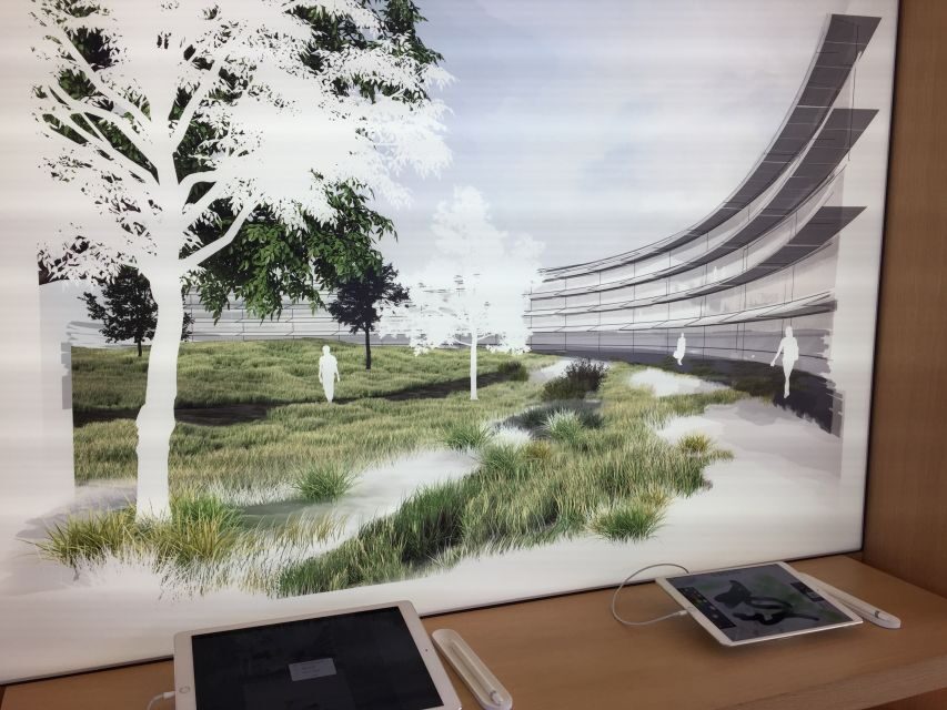 From San Francisco: Silicon Valley Private Tour - Authentic Experiences and Reviewer Insights