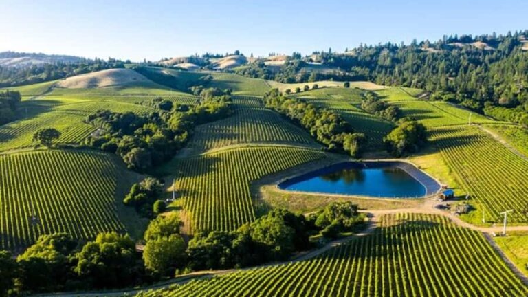 From San Jose: Small Group Napa & Sonoma Valley Wine Tour - Who Will Love This Tour?