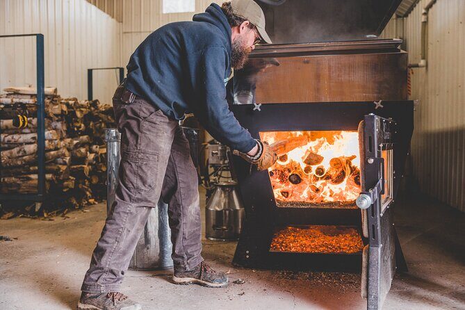 From Sap to Syrup: A Tasty Guided Maple Production Tour - Analyzing the Experience: Value and Practical Tips