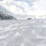 From Seattle: Canadian Rockies 7Day National Parks Tour - The Value of This Tour