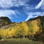 From Seattle: Mount Rainier National Park 1-Day Tour - Authentic Perspectives and Practical Tips