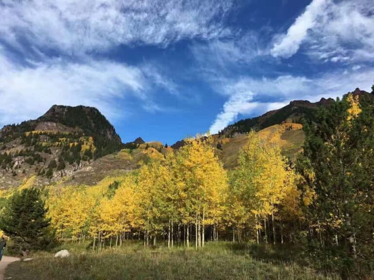 From Seattle: Mount Rainier National Park 1-Day Tour - Authentic Perspectives and Practical Tips