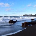 From Seattle Private Hoh Rain Forest and Rialto Beach Tour - What to Expect from Each Stop