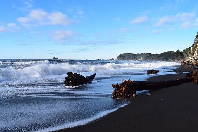 From Seattle Private Hoh Rain Forest and Rialto Beach Tour - What to Expect from Each Stop