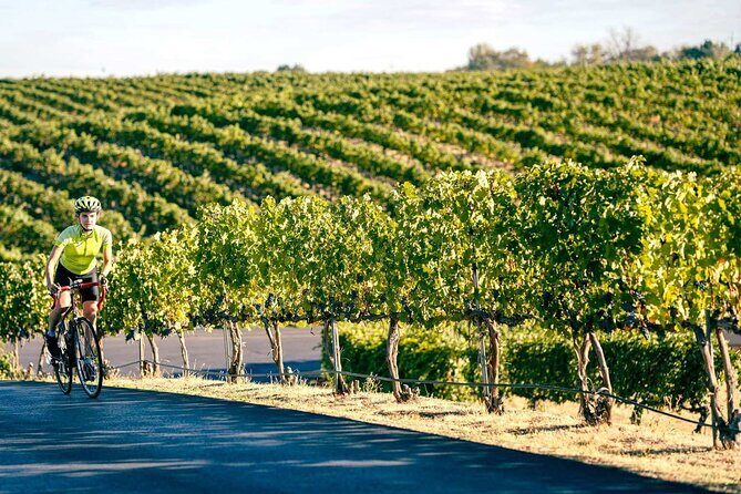 From Seattle Wine Tasting, Vineyards in Eastern WA - Transportation & Logistics