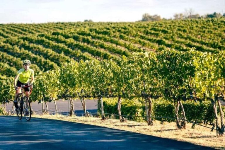 From Seattle - Wine Tasting, Vineyards in Eastern WA - What We Loved