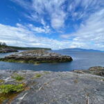 From Sechelt or Langdale: Sunshine Coast Tour and Hike - The Value of This Experience