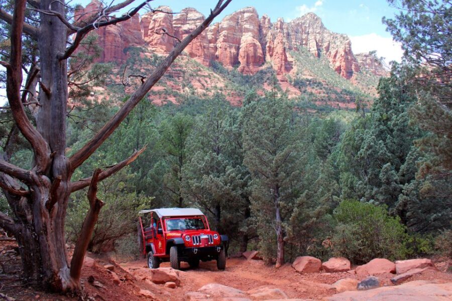 From Sedona: Red Rock West Private Jeep Tour - Who Is This Tour Perfect For?
