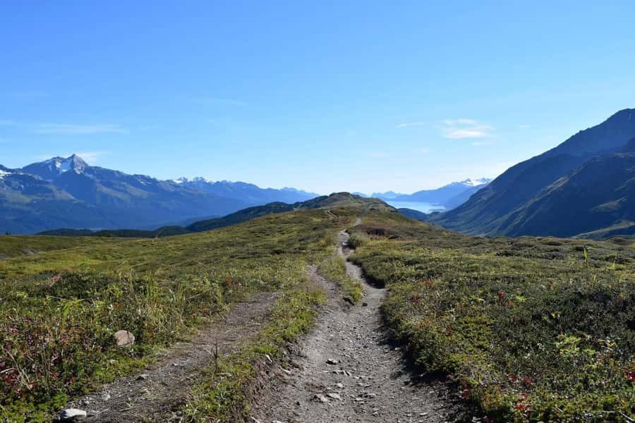 From Seward: Lost Lake Trail Hiking - What Makes Lost Lake Special?