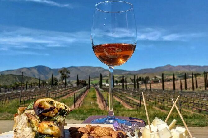 From the Border Valle de Guadalupe Private Wine Tour - Wineries and Scenic Stops